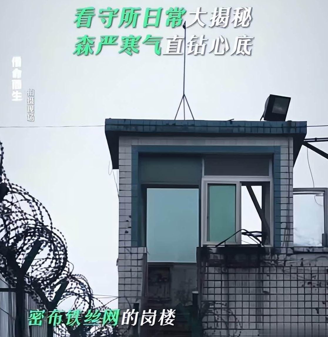 海外如何看国内视频教程
